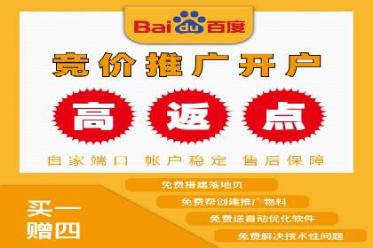 案例解析：百度推广排名提升的实战技巧